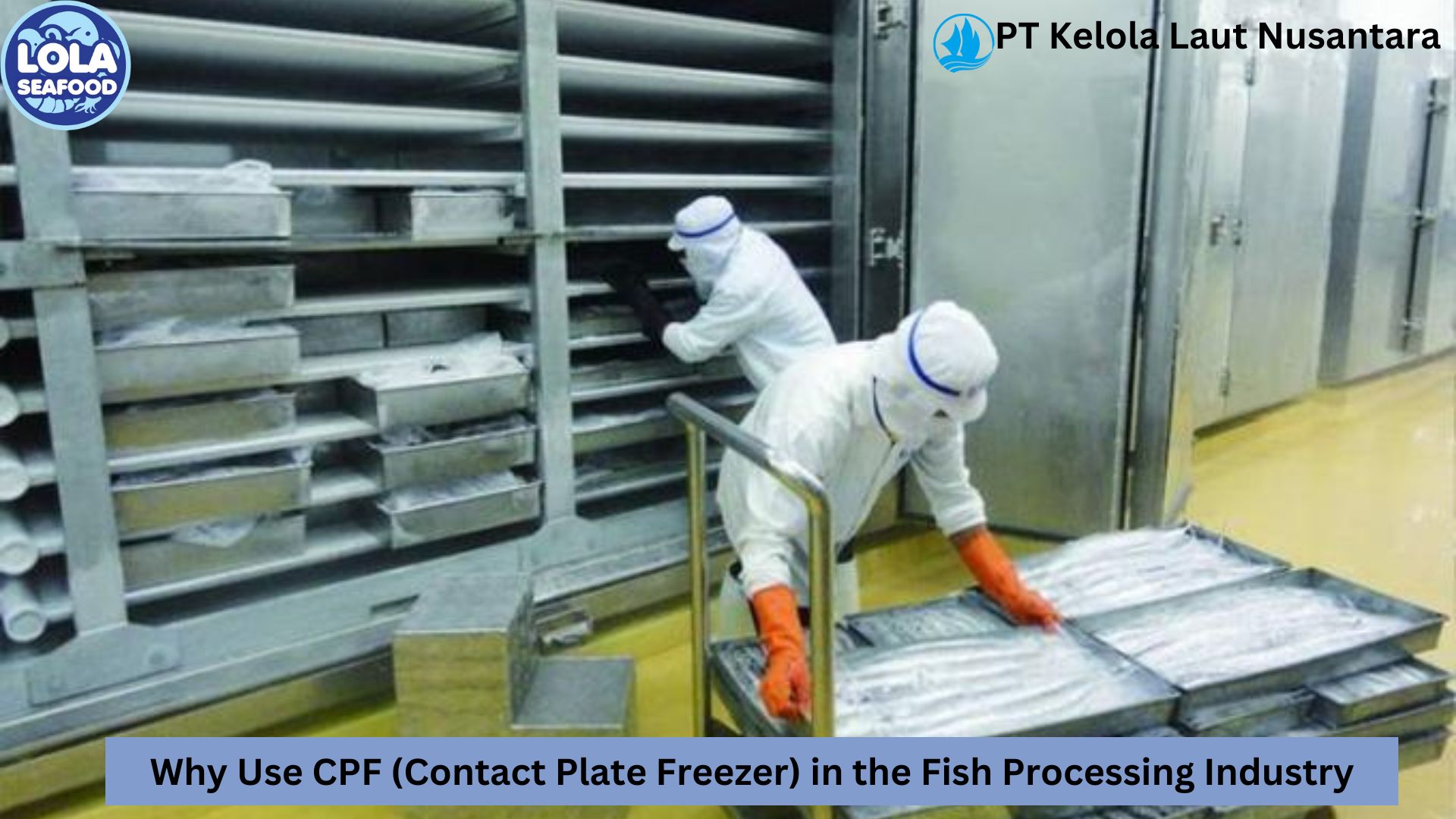 Why Use CPF (Contact Plate Freezer) in the Fish Processing Industry